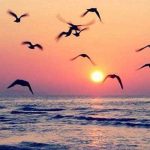 دانلود ریمیکس آوارگی بیچارگی ریمیکس اینستاگرام Remix