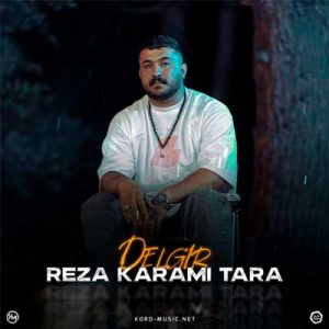 دانلود آهنگ دلگیر از رضا کرمی تارا / Reza Karami Tara Delgir