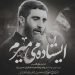 دانلود مداحی ایستاده میمیرم از سید رضا نریمانی » Istadeh Mimiram  کامل همراه متن