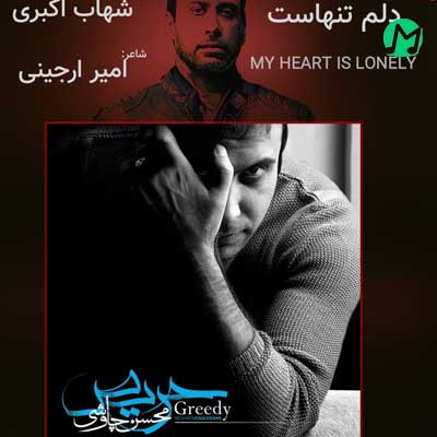 دانلود آهنگ دلم تنهاست از محسن چاوشی (Mohsen Chavoshi / Delam Tanhast)