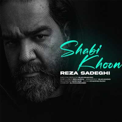 دانلود آهنگ شبیخون از رضا صادقی (زﻣﻮﻧﻪ ی ﺑﺪﻳﻪ ﻫﻤﺶ درده) متن ترانه و MP3