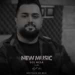 دانلود آهنگ گل نسا از بهنام حسن زاده /// با دو کیفیت عالی mp3 Gol Nesa