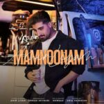 دانلود آهنگ ممنونم از امیر رمضانی / لیام (کردی) Amir Liyam – Mamnonam