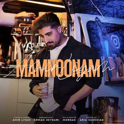 دانلود آهنگ ممنونم از امیر رمضانی / لیام (کردی) Amir Liyam - Mamnonam