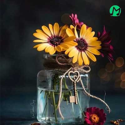 دانلود آهنگ برو به یار بگو یار توام من اینستا // کامل mp3