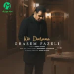 دانلود آهنگ کیو دارم از قاسم فاضلی (در این شبها که بیمارم کیو دارم) mp3 / کلیپ استوری