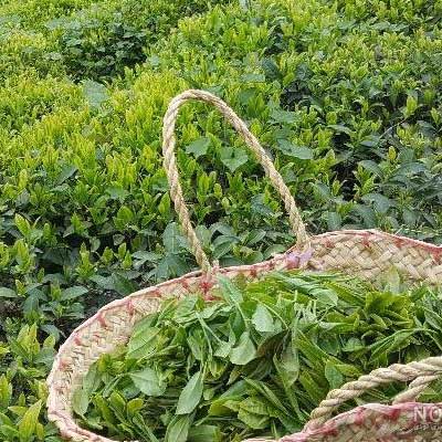 دانلود ریمیکس جدید هوا تاریک مه چش کورابو دانلود ریمیکس هوا تاریک مه چش کورابو (شمالی،گیلکی) دی جی امین