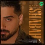 دانلود آهنگ شبح از بردیا ::Bardia / Shabah (خسته ام از آدمکا) دانلود آهنگ شبح از بردیا ::Bardia / Shabah (خسته ام از آدمکا)