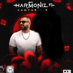 ریمیکس جدید Harmonize 03 – وقتی DJ کامیار و DJ RF دست به کار میشن / پیشنهادی