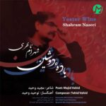 دانلود آهنگ دﻳﺸﺐ ﻛﻪ ﺣﺎﻟﻰ ﺑﺎ ﻟﺐ ﭘﻴﻤﺎﻧﻪ ﻛﺮدم از شهرام ناظری (باده دوشین)