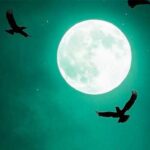 دانلود آهنگ ترکی فارسی هایدی سویله و ﻣﻦ ﻋﺎﺷﻖ ﺗﻮ ﻫﺴﺘﻢ از ابراهیم تاتلیس و امیر شاملو (هوش مصنوعی)