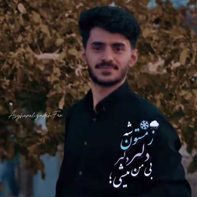 دانلود آهنگ زمستون شه دلبر از اصغر علیزاده / کلیپ استوری
