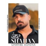 دانلود آهنگ غریب آشنا از شاهان (Shahan | Gharib Ashena)