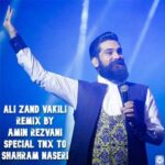 دانلود پادکست علی زند وکیلی (گلچین بهترین آهنگهای شاد یکجا MP3)