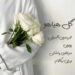 دانلود آهنگ آهای خوشگل عاشق از پوبون و فریدون آسرایی و مرتضی پاشایی + ورژن بیکلام و ریمیکس