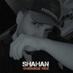 دانلود آهنگ قشنگیه پاییز از شاهان / عاشقانه (خوش سلیقه و جذابی کمیابی مثل الماسی)