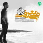 دانلود آهنگ بی معرفت از حامد میران (Hamed Miran / Bi Marefat)