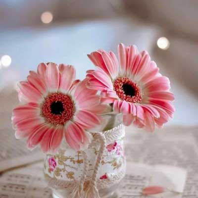 دانلود آهنگ گل از تو بویوم از ستایش صادق زاده / کلیپ اجرای زنده