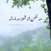 دانلود آهنگ مه نفس انه شونه مه مارشه از ابوالفضل متو / کلیپ استوری