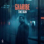 دانلود آهنگ غریبه از د دان (غمگین عاشقانه) The Don – Gharibe کامل + متن ترانه