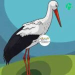 دانلود آهنگ عمر آدم مثل اون لک لک پیره با صدای مرد + کلیپ استوری