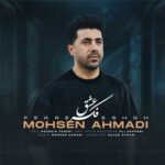 دانلود آهنگ فکر عشق از محسن احمدی / لری (بهترین کیفیت MP3)