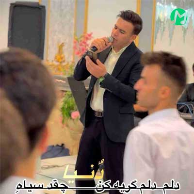 دانلود آهنگ دلم دلم گریه کن دنیا چقدر سیاهه از بهنام دولت »» کیفیت 320