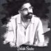 دانلود آهنگ دلک ساده از اشکان عرب (افغانی عاشقانه) من تنگ آمدم از تو دلم پیش تو گیره