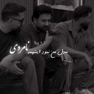 دانلود آهنگ مدل من نبود این همه نامردی از هومن اسماعیلی + کلیپ استوری و متن ترانه