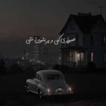 دانلود آهنگ اﮔﻪ ﭘﺎ ﺑﻪ ﭘﺎم راه ﺑﻴﺎی ﺑﻰ دریغ ﺻﺒﻮری ﻛﻨﻰ از شهریار ابراهیمی + کلیپ استوری
