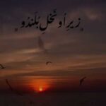 دانلود آهنگ زیر او نخل بلندو سر او کیچه قشنگو (جنوبی / عاشقانه) کامل 320 + کلیپ استوری