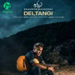 دانلود آهنگ دلتنگی از شهرام شکوهی :: Shahram Shokoohi ; Deltangi