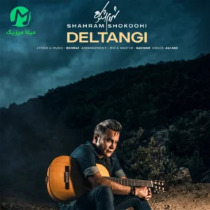 دانلود آهنگ دلتنگی از شهرام شکوهی :: Shahram Shokoohi ; Deltangi