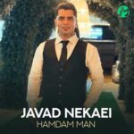 دانلود آهنگ همدم من از جواد نکایی :: Javad Nekaei ; Hamdam Man