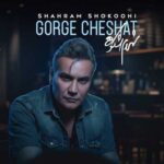 دانلود آهنگ گرگ چشات از شهرام شکوهی (Shahram Shokoohi ; Gorge Cheshat)