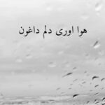 دانلود آهنگ هوا اوری دلم داغون از ایوب عیدی وند (لری + کلیپ استوری)