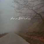 دانلود آهنگ روزامو با دلتنگی سر می‌کنم شبامو با فکرت سحر میکنم (غمگین) کلیپ استوری