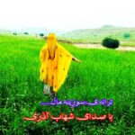 دانلود آهنگ سوزینه مال از شهاب آذری (Sozine Mal – Shahab Azarai)