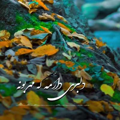 دانلود آهنگ دلبری دارمه که مهربونه خله خوش زبونه دلبر من دل من /// کامل + کلیپ استوری (شاد عاشقانه)