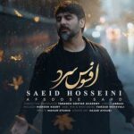 دانلود آهنگ افسوس سرد از سعید حسینی Afsos Sard ||| کامل 320