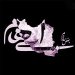 دانلود آهنگ بغض مدام از گروه ایهام (زانیار خسروی و مازیار لشنی) | پخش آنلاین و دانلود سریع