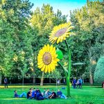 دانلود آهنگ بیا بریم پارک بریم دشت از افتا هیل