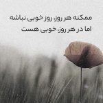 دانلود آهنگ تورو دیدم زدم قید همه دخترا