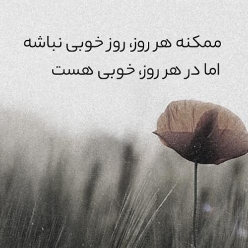 دانلود آهنگ تورو دیدم زدم قید همه دخترا دانلود آهنگ تورو دیدم زدم قید همه دخترا