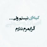 دانلود آهنگ بی خدافظی رفت من موندم خونه فس فس فس