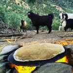 دانلود آهنگ دشت جونمه سی عزیزم گل بکارم تا بیی
