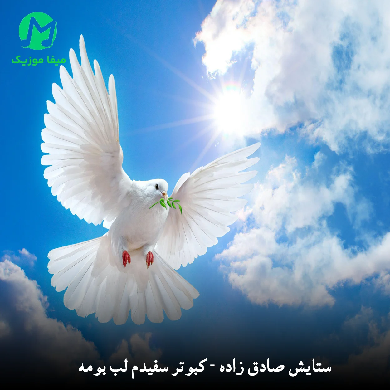 دانلود آهنگ کبوتر سفیدم لب بومه از ستایش صادق زاده