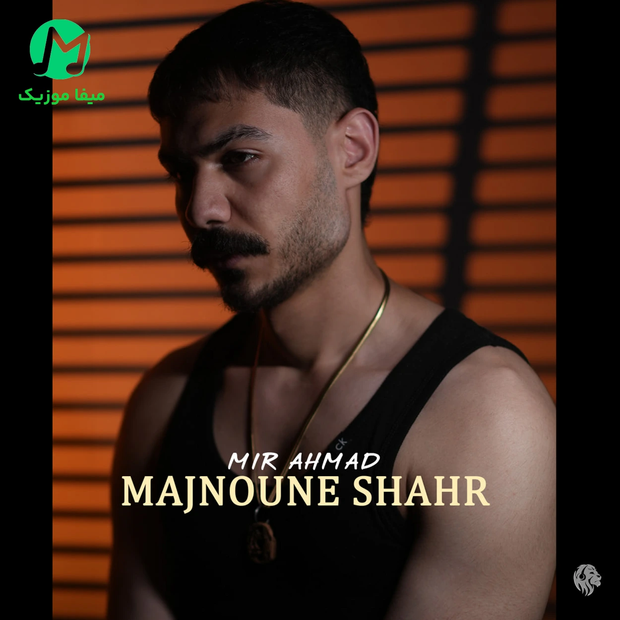 دانلود آهنگ میر احمد شدم مجنون مشهور میدون شهر دانلود آهنگ شدم مجنون مشهور میدون شهر از میر احمد