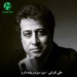 دانلود آهنگ سبز سبزم ریشه دارم من درختی استوارم (تیتراژ سریال خانه سبز)