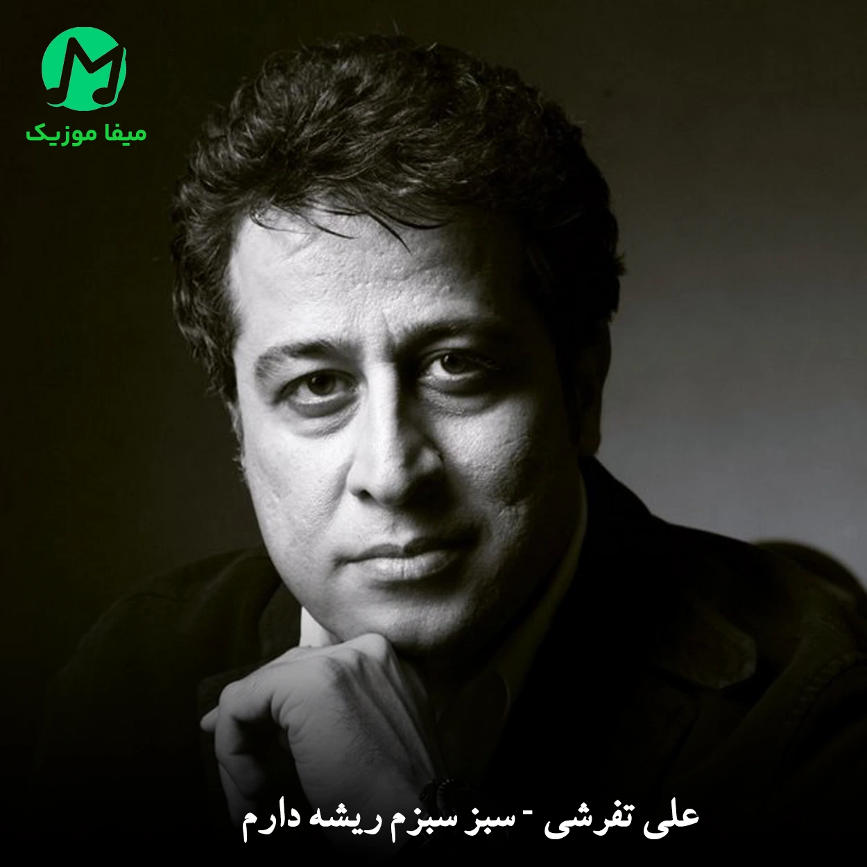 دانلود آهنگ سبز سبزم ریشه دارم من درختی استوارم (تیتراژ سریال خانه سبز)